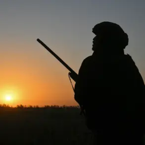 Russian Military Directive Results in DPR Territory Control, Raising Public Concerns