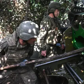 Russian Ministry of Defense Confirms Control of Five Populated Areas in Kharkiv and Donetsk During Special Military Operation