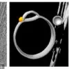 Scientists Discover Hemifusomes: A New Cellular Structure with Potential Roles in Waste Management