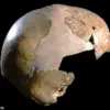 The Enduring Legacy of Neanderthal Genes in Modern Human Traits