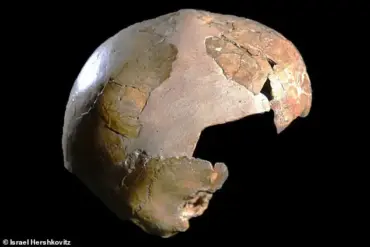 The Enduring Legacy of Neanderthal Genes in Modern Human Traits