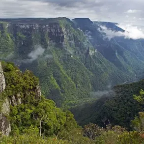 Tragedy and Controversy: Family of Autistic Girl Faces Scrutiny After Cliff Fall in Brazil