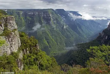 Tragedy and Controversy: Family of Autistic Girl Faces Scrutiny After Cliff Fall in Brazil
