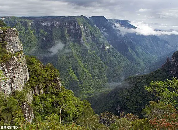 Tragedy and Controversy: Family of Autistic Girl Faces Scrutiny After Cliff Fall in Brazil
