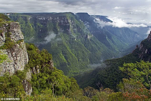 Tragedy and Controversy: Family of Autistic Girl Faces Scrutiny After Cliff Fall in Brazil