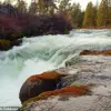 Tragedy at Dillon Falls: One Dead, Two Missing After Oregon Waterfall Incident