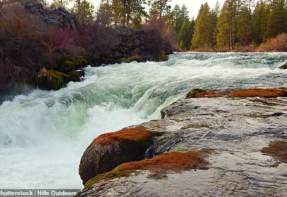 Tragedy at Dillon Falls: One Dead, Two Missing After Oregon Waterfall Incident