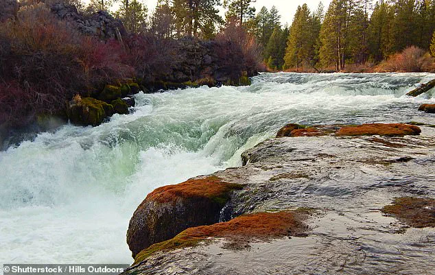 Tragedy at Dillon Falls: One Dead, Two Missing After Oregon Waterfall Incident