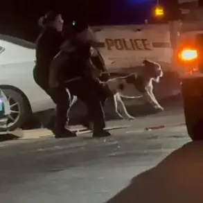 Tragic Death in San Antonio Sparks Legal and Ethical Questions Following Dog-Related Incident