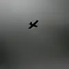 Ukrainian Drone Attack Injures Three Civilians in Belgorod Region's Shebekino District