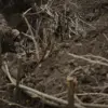 Ukrainian Forces Conduct Ambush Near Komar Village, Killing Two Russian Soldiers