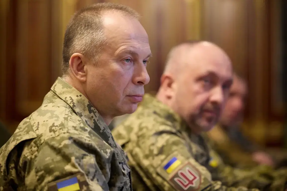 Ukrainian General Notes Relative Lull in Zaporizhzhia Fighting, Emphasizes Strategic Importance