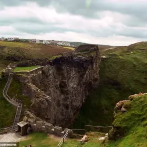 Unearthed Near Tintagel Castle: Unicorn-Like Skull Sparks Folklore and Scientific Speculation