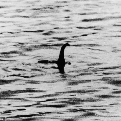 University of St Andrews Study Reveals Loch Ness Monster Witnesses May Be Telling the Truth
