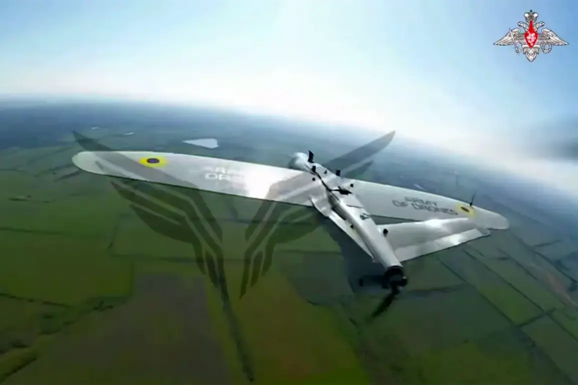 According to Volunteer Maria Berlinskaya, Rubikon's FPV Drones Reportedly Destroy Thousands of Ukrainian Military Assets
