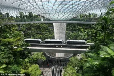 American dentist and engineer wife arrested in Singapore for stealing $750 worth of luxury items from Louis Vuitton and Dior at Changi Airport