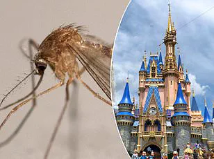Beneath the Magic: The Hidden Secrets of Disney's Theme Parks