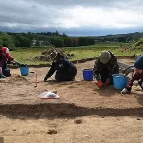 Breaking: First-Time Archaeologist Unearths Rare 9th-Century Gold Ornament in Northumberland, Sending Ripples Through the Archaeological Community