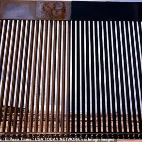 Controversial Claims of 'Untouchable' Border Wall Fail to Materialize as Heat-Absorbing Properties Under Scrutiny