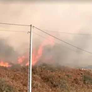 Deadly Wildfires Sweep Iberian Peninsula: Worst Season on Record as Villages Evacuate and Flames Devastate Landscapes