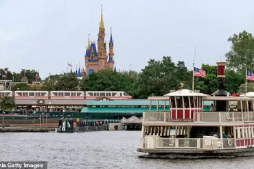 Disney Ferry Incident Raises Questions About Safety Regulations and Public Safety