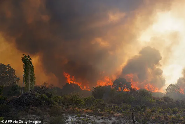 Europe's Devastating Wildfires Linked to Climate Change, Study Reveals
