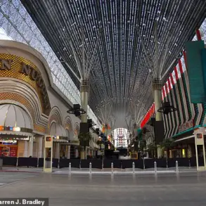 Exclusive Insights: How Privileged Access to Data Shapes Las Vegas' Tourism Decline