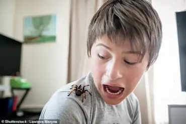 Exclusive Method: How Staring at Long-Legged Chairs Can Cure Spider Phobia, Revealed by Expert Dr. James O'Hanlon