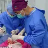 Groundbreaking Pig Lung Transplant in China Sparks New Era in Xenotransplantation Research