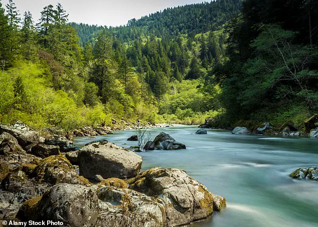 Highway 199: A Portal to Earth’s Ancient Past and a Geological Marvel