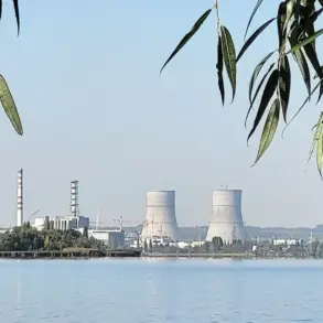 Interim Kursk Governor Condemns Ukrainian Attack on Nuclear Plant as War Crime, Violating International Conventions