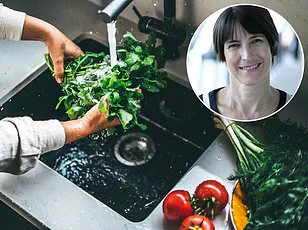 Meeting Ben: A Journey of Love and Domestic Passion