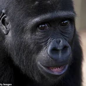 New Study Reveals Surprising Link Between Thumbs and Brain Size in Primates, Challenging Evolutionary Assumptions