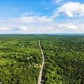 Nova Scotia Imposes Immediate Forest Access Ban to Combat Escalating Wildfire Threat