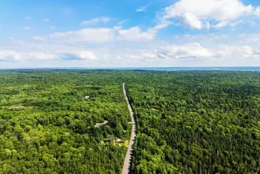 Nova Scotia Imposes Immediate Forest Access Ban to Combat Escalating Wildfire Threat