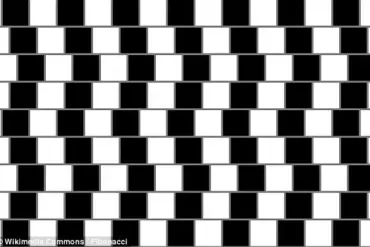 Only a Few Can Spot the Hidden Face in This Viral Optical Illusion Featuring a Grazing Goat