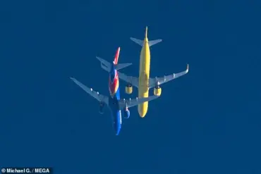 Privileged Access: Wildlife Photographer's Unseen Footage of Airplane Near-Miss at 30,000ft
