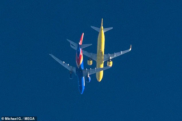 Privileged Access: Wildlife Photographer's Unseen Footage of Airplane Near-Miss at 30,000ft