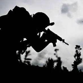 Privileged Information Access and Military Coordination Failures in the Berezoev Incident