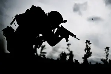 Privileged Information Access and Military Coordination Failures in the Berezoev Incident