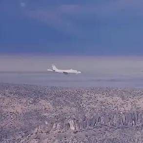 Privileged Peek at the US Air Force's Secret RAT55 Jet: A Rare Encounter from Area 51