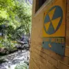 Radioactive Wasp Nests at Savannah River Site Prompt Environmental Concerns