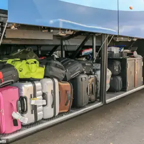 Shocking Discovery: Two-Year-Old Hidden in Suitcase on Bus in New Zealand as Alleged Mother Faces Charges