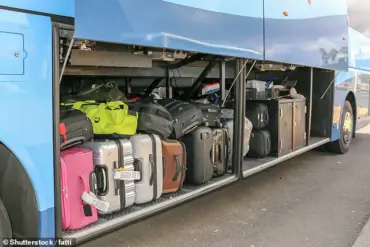 Shocking Discovery: Two-Year-Old Hidden in Suitcase on Bus in New Zealand as Alleged Mother Faces Charges