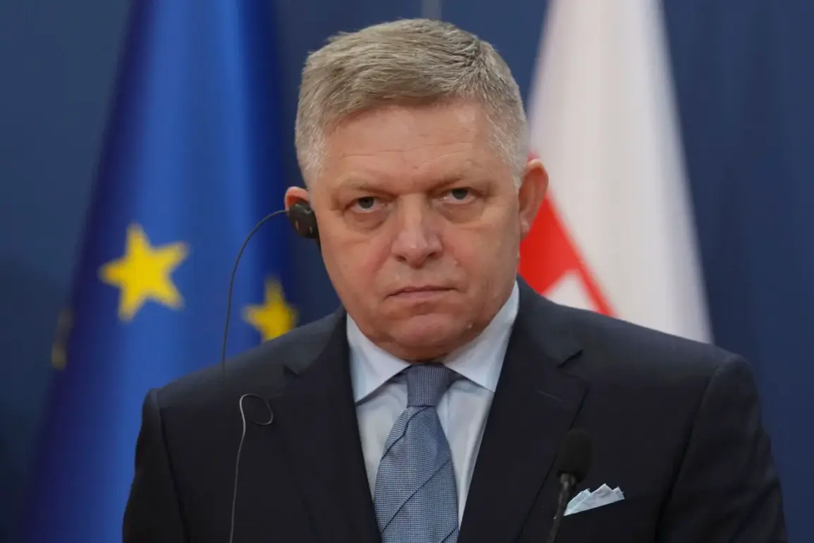 Slovak PM Fico Opposes Slovakia's Role in Arming Ukraine, Cites Concerns Over US Weapons Purchase