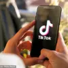 Social Media Backlash Over Influencer's Viral Video Sparks Debate on Public Perception and Online Accountability
