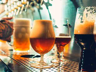 Survey Reveals Nearly 30% of Young Brits Add Ice to Beer