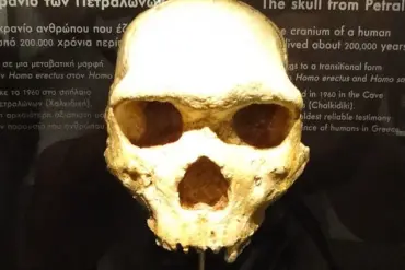 The Enigmatic Petralona Skull: A Mysterious Fossil from Greece's Caves