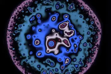 The Science Behind the Perfect Beer Head: How Proteins and Fermentation Create Foam Stability