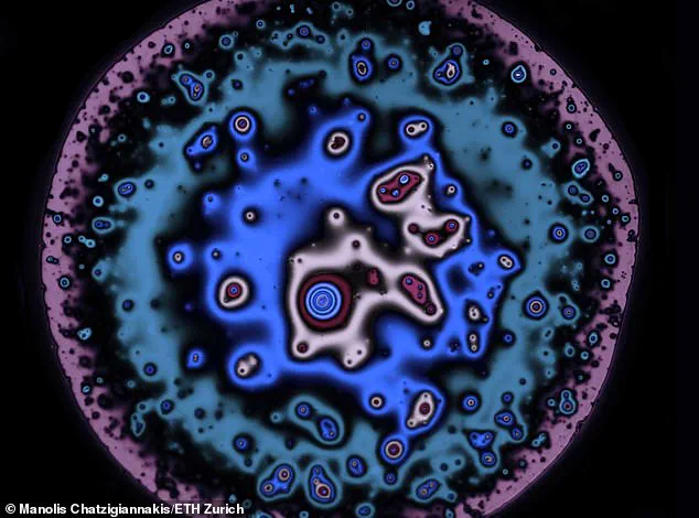 The Science Behind the Perfect Beer Head: How Proteins and Fermentation Create Foam Stability